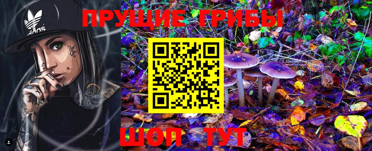Псилоцибиновые грибы ЛСД  Вход с VPN  Обнинск  Галлюциногенные грибы GOLDEN TEACHER 
