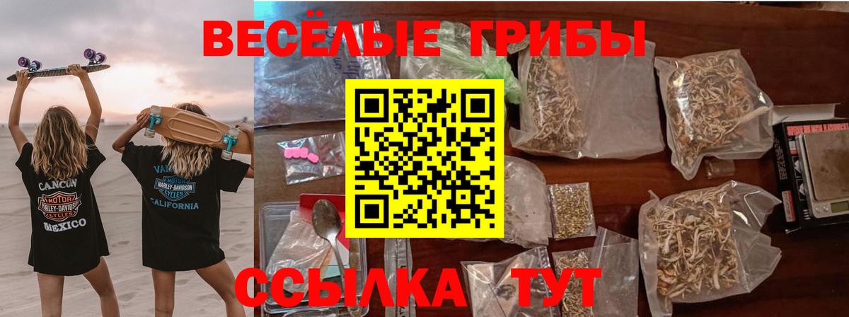 Псилоцибиновые грибы прущие грибы Обнинск